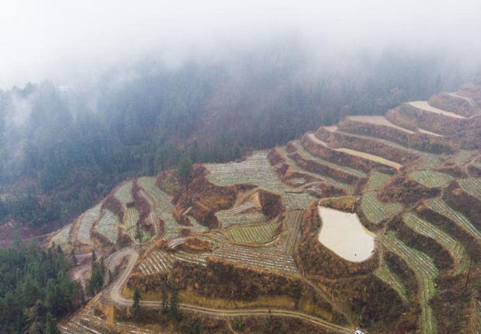 一切從精準(zhǔn)出發(fā)——來(lái)自武陵山區(qū)的脫貧答卷